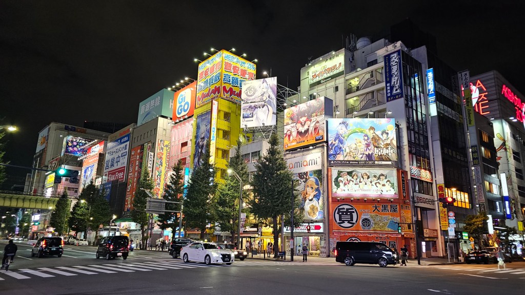 On Film :&nbsp;Akihabara