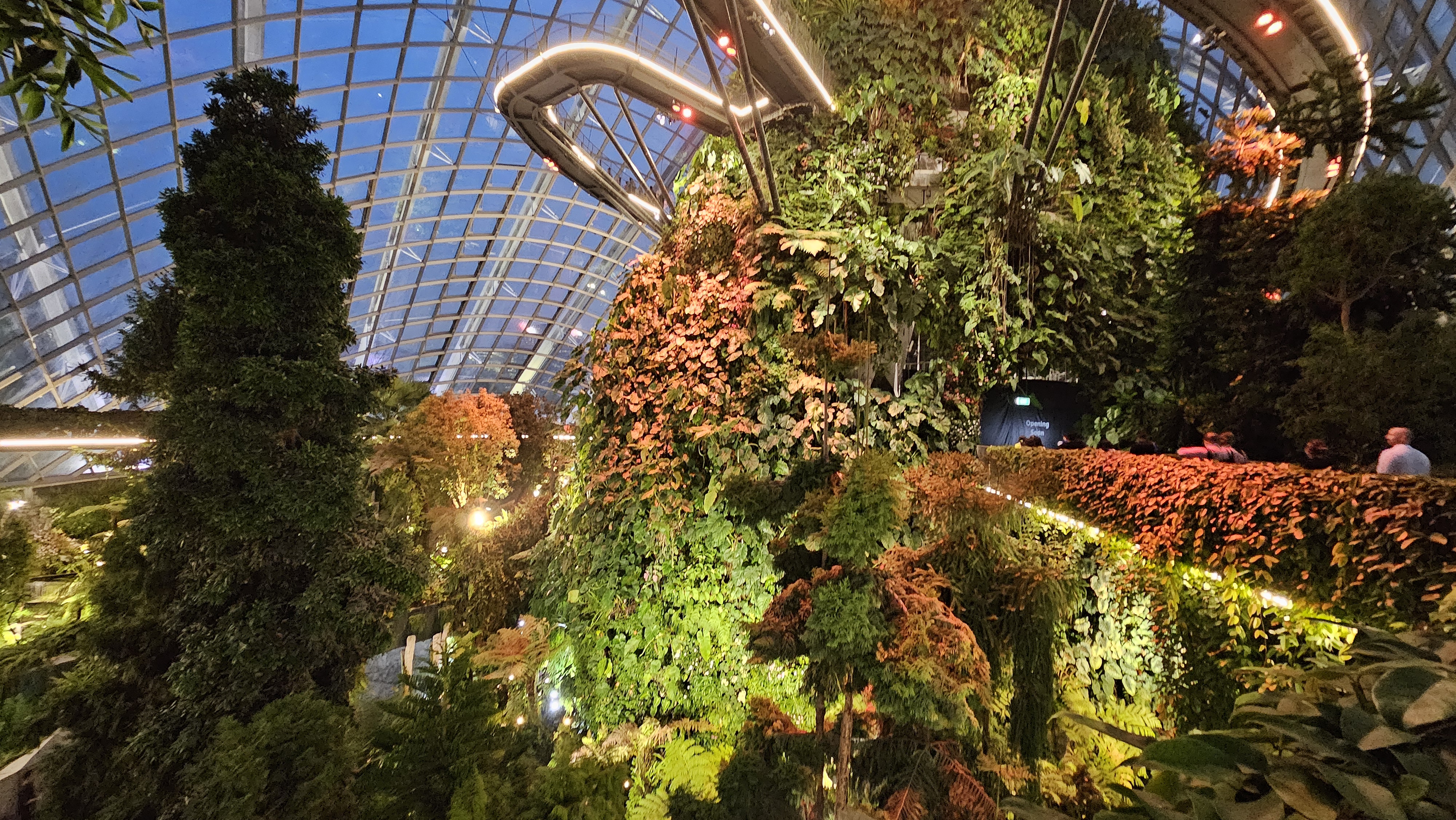On Film : Gardens by the Bay